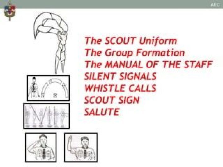 WHO calls scout a coward? ·